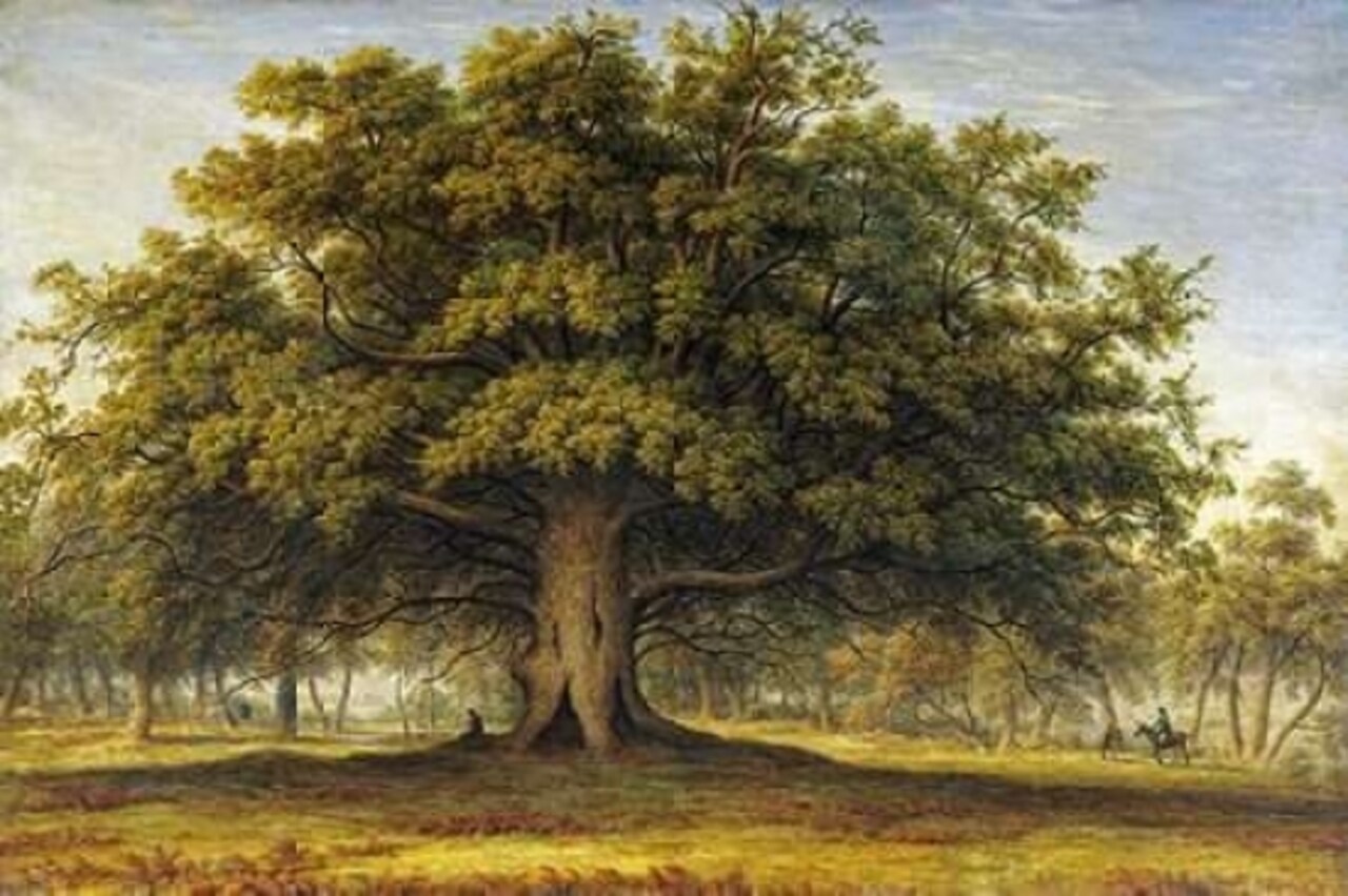 The Beggars Oak Poster Print by John Glover - Item # VARPDX266397